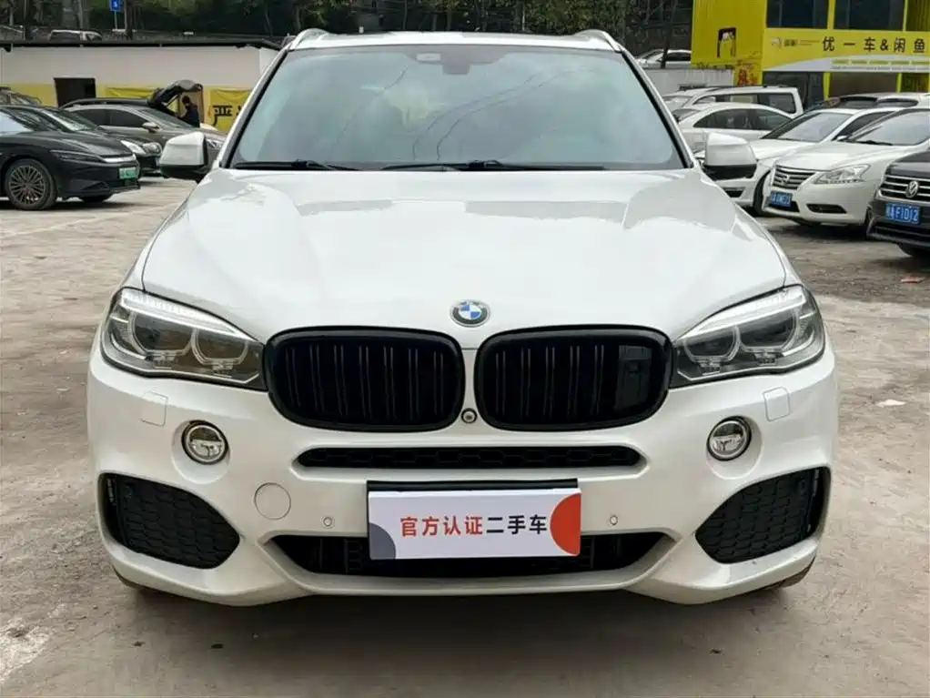 BMW X5 2014 xDrive35i Lead