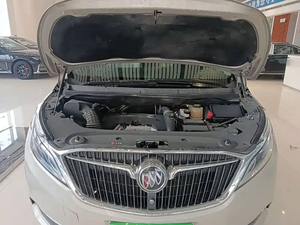 Buick GL8 — миниатюра 20