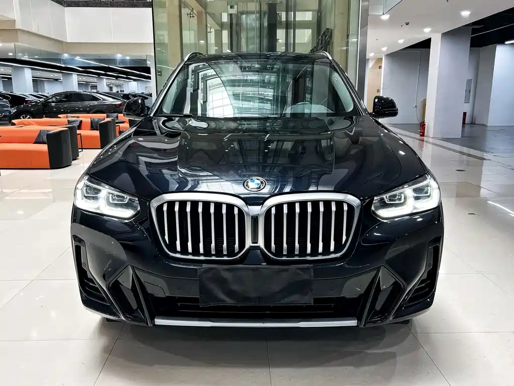 BMW X3 — миниатюра 2