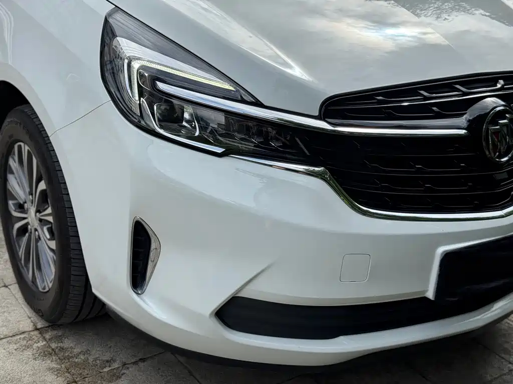 Buick GL8 — миниатюра 18