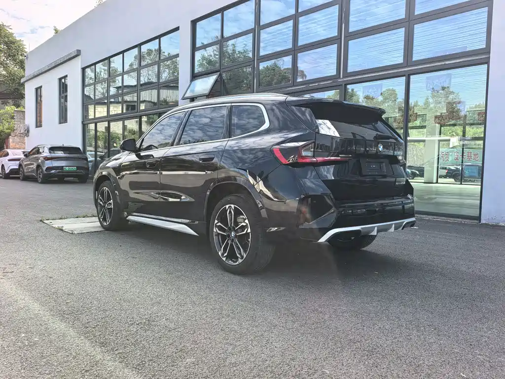 BMW X1 — миниатюра 10
