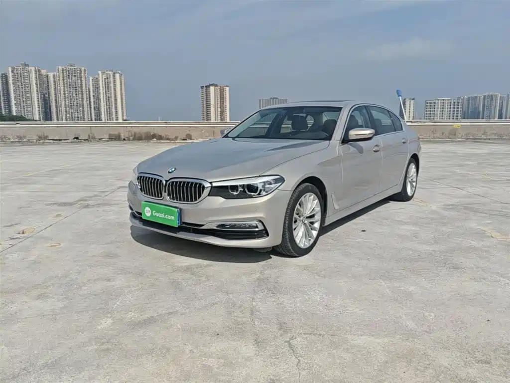 BMW 5 Series 5 2018 525Li Luxury