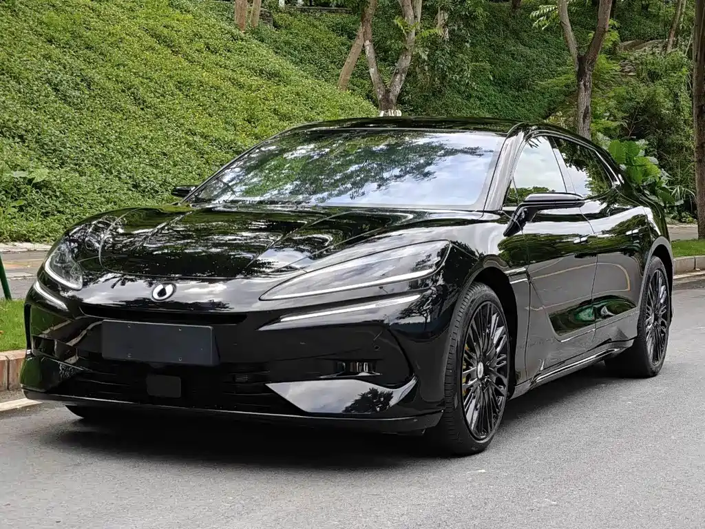 Denza Denza Z9GT