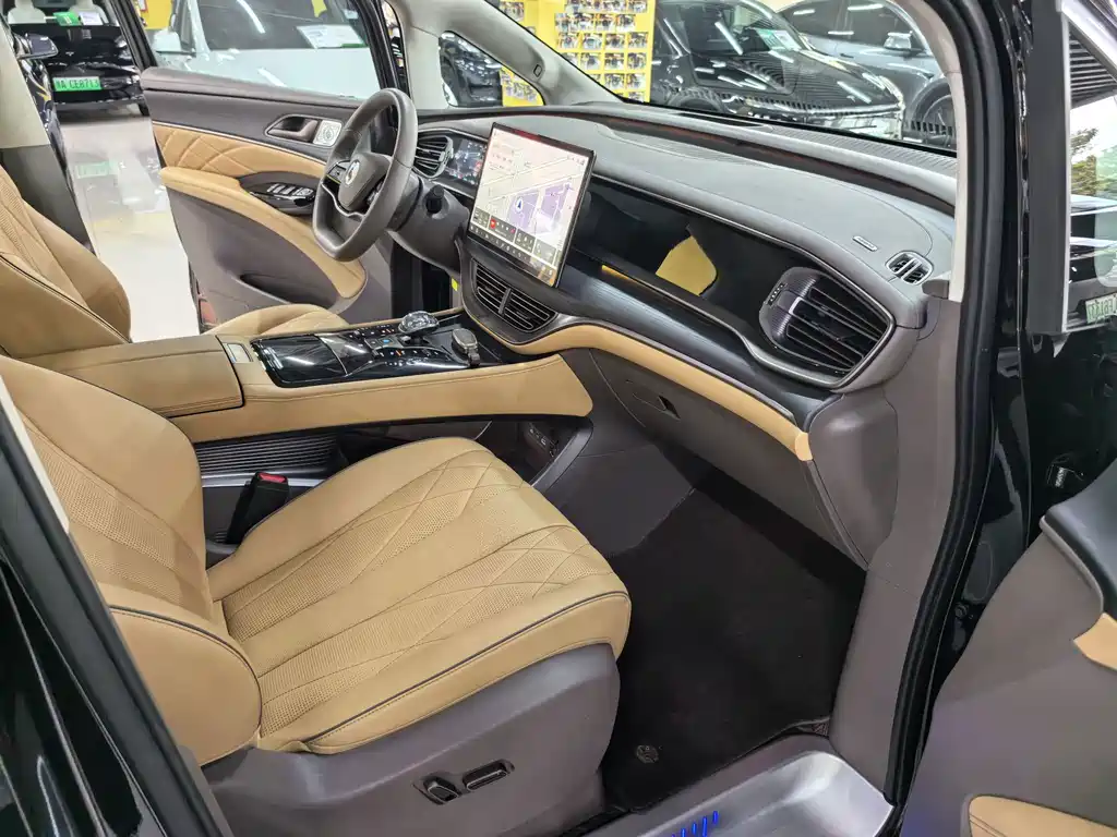 Denza Denza D9 — миниатюра 11