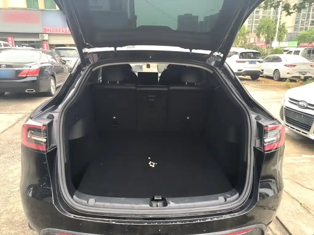 Tesla Model Y — миниатюра 19