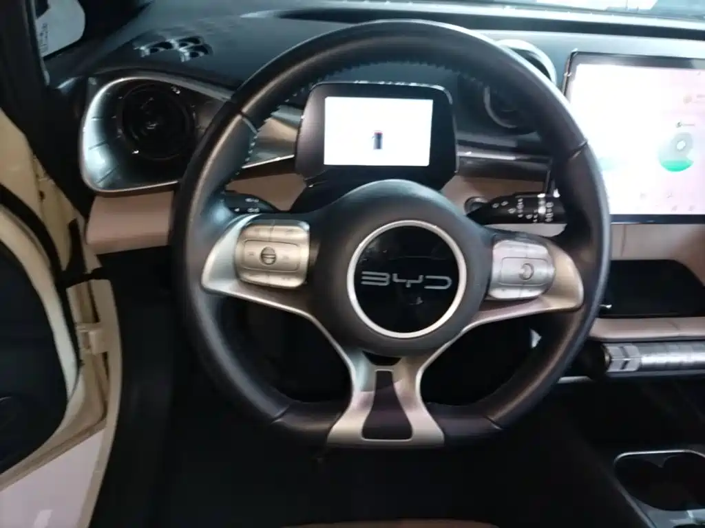 BYD Dolphin — миниатюра 11