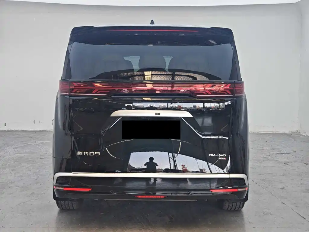Denza Denza D9 — миниатюра 8