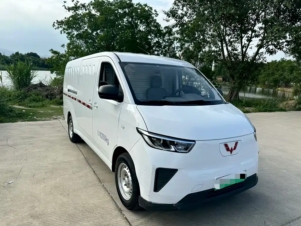 Wuling Yangguang 2024