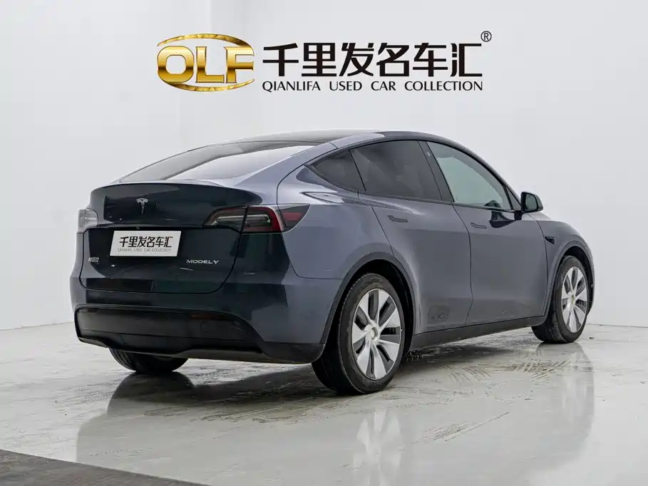 Tesla Model Y — миниатюра 6