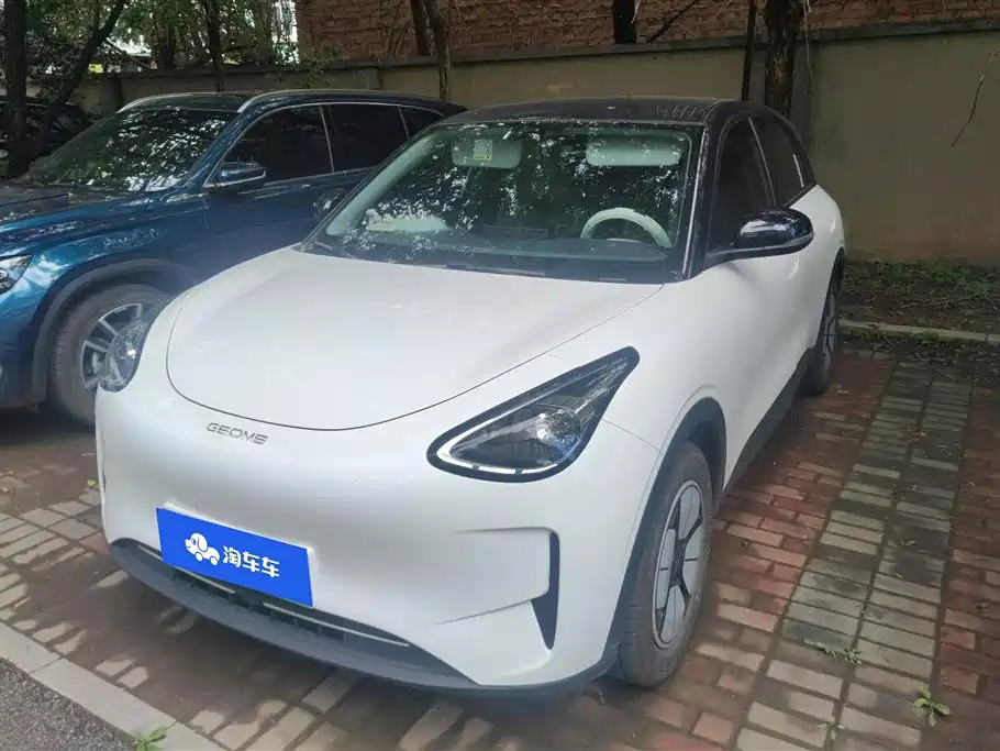 Geely Xingyuan 2025 310km Youth Edition
