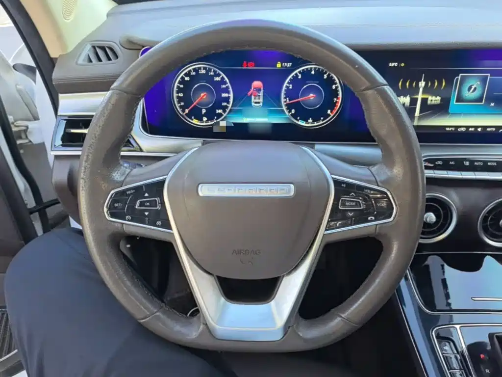 Leopaard Mattu — миниатюра 11