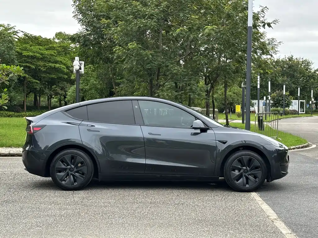 Tesla Model Y — миниатюра 7