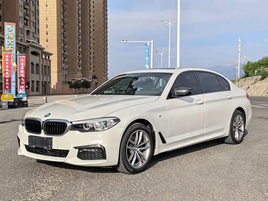 BMW 5 Series 2019