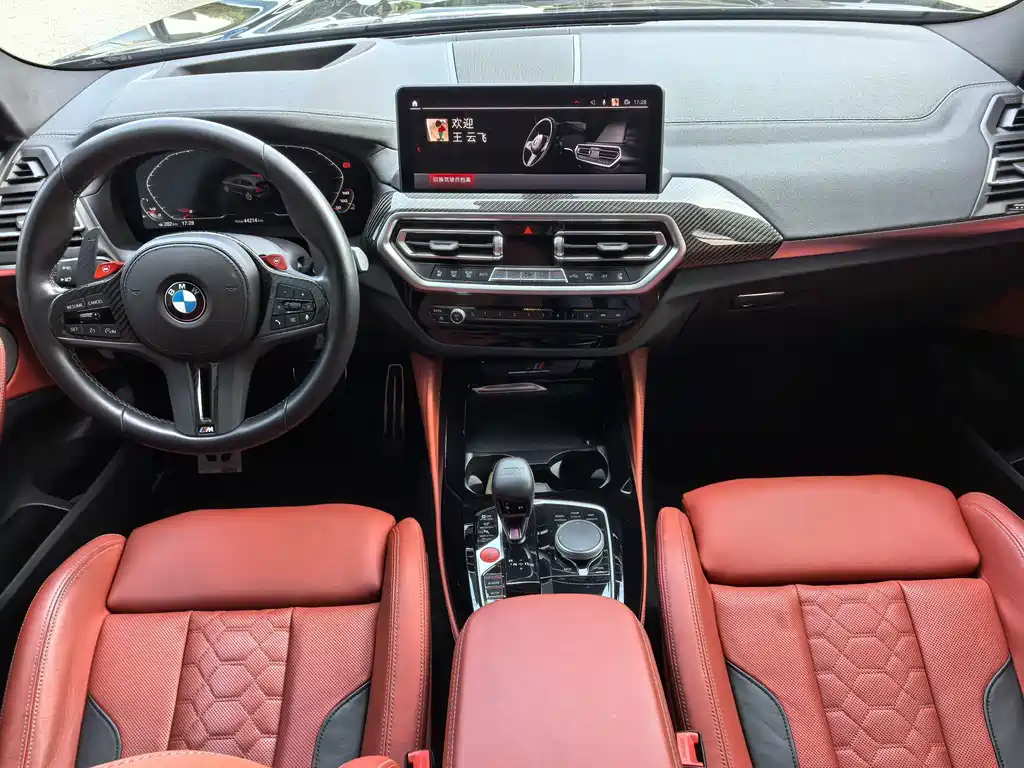 BMW X3 M — миниатюра 9