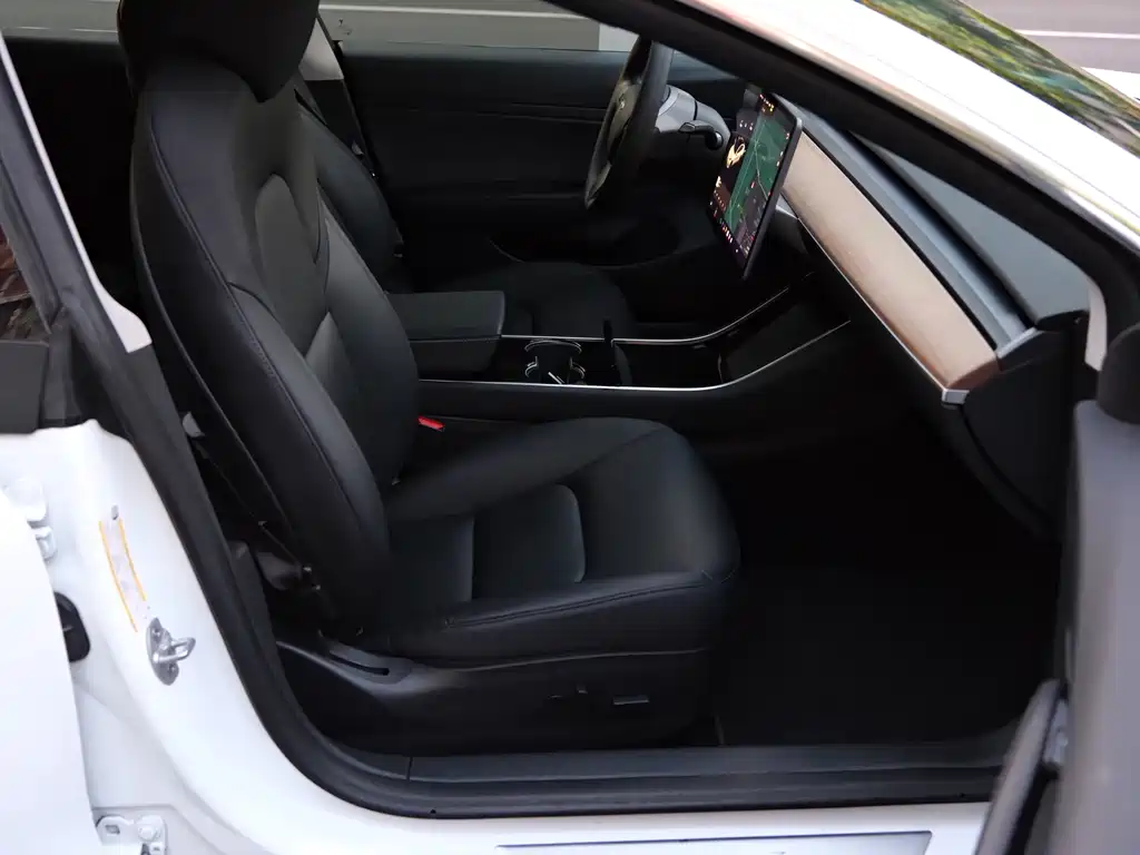 Tesla Model 3 — миниатюра 5