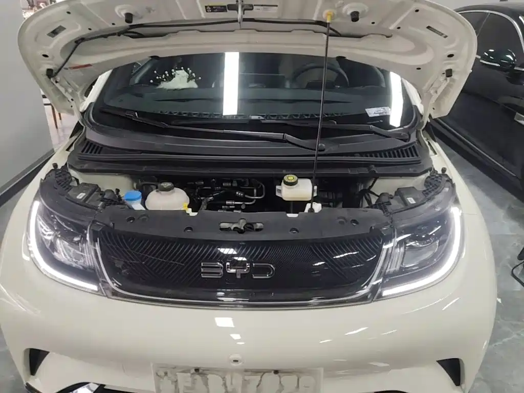 BYD Dolphin — миниатюра 20