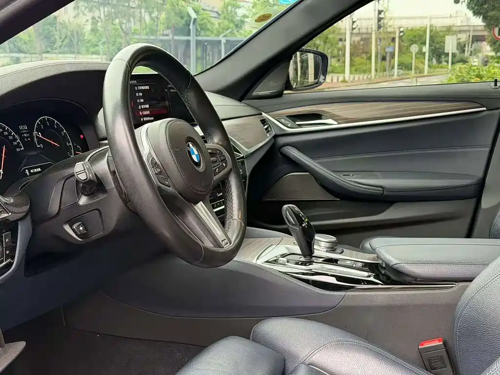 BMW 5 Series (Import) — миниатюра 2