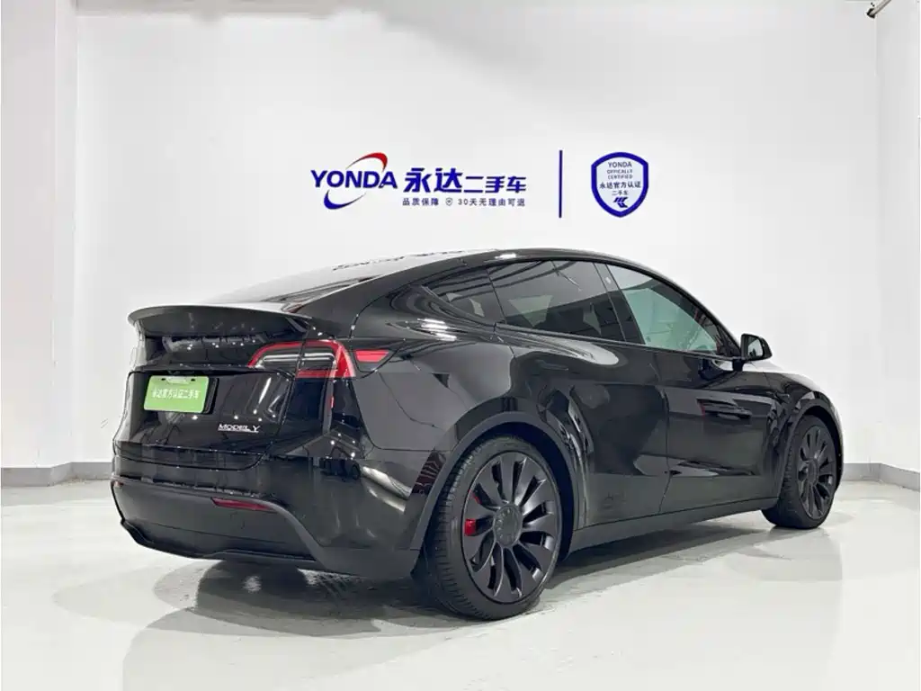 Tesla Model Y — миниатюра 5
