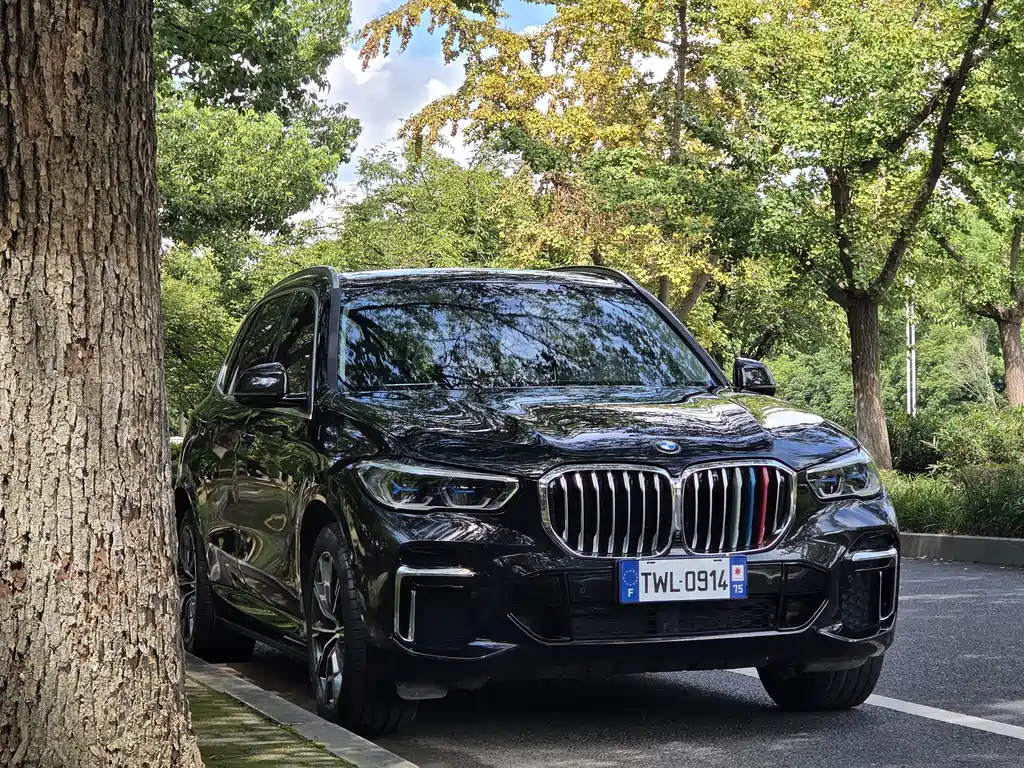 BMW X5 2022 xDrive 30Li Premium M Sport