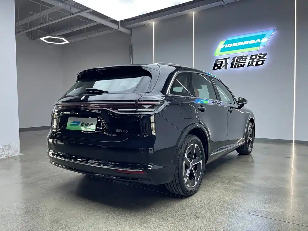 Shangjie Shangjie H5 — миниатюра 7