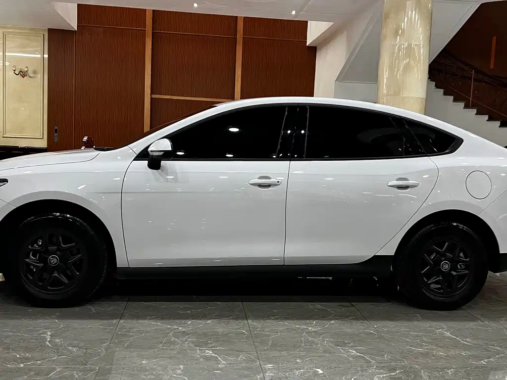 BYD Qin PLUS — миниатюра 8