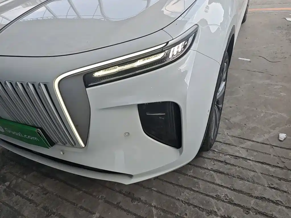 Hongqi Hongqi E-HS9 — миниатюра 24