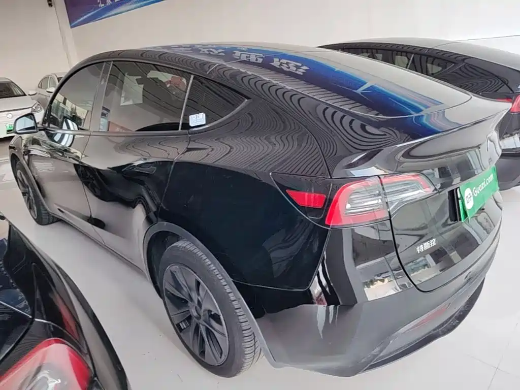 Tesla Model Y — миниатюра 5