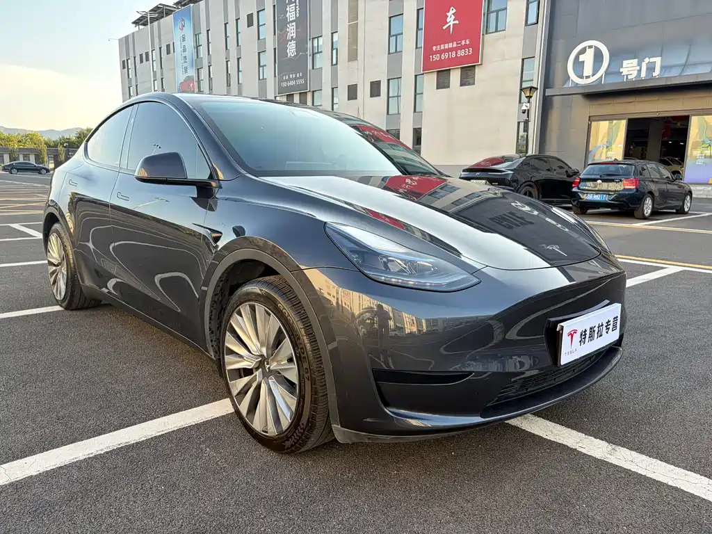 Tesla Model Y — миниатюра 3