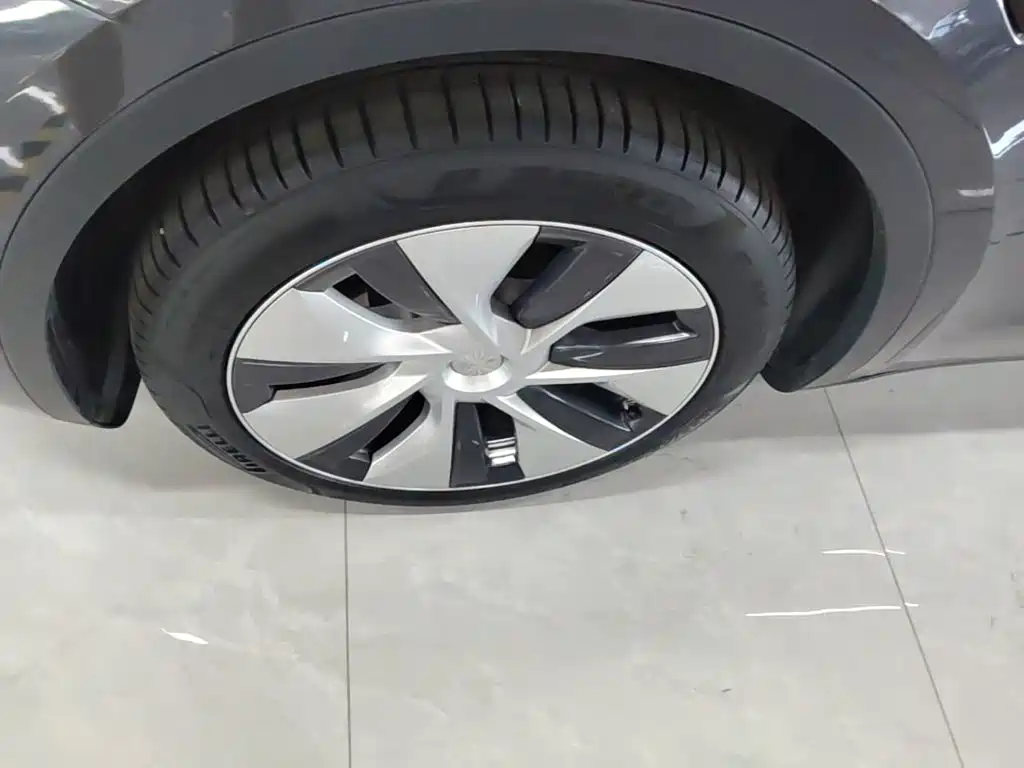 Tesla Model Y — миниатюра 23