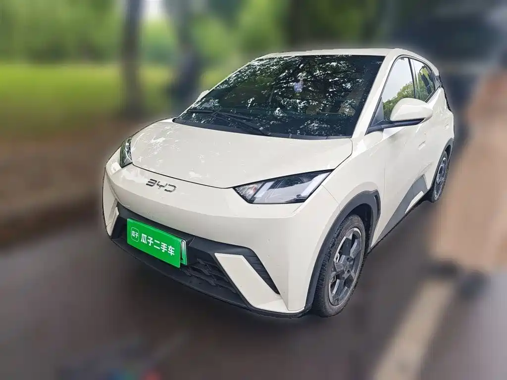 Byd Seagull 2024