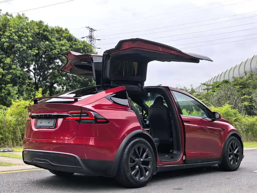 Tesla Model X — миниатюра 12