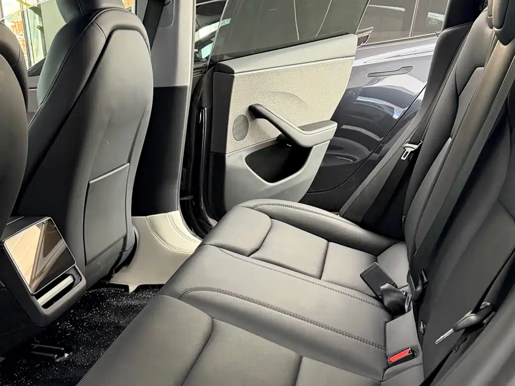 Tesla Model 3 — миниатюра 8