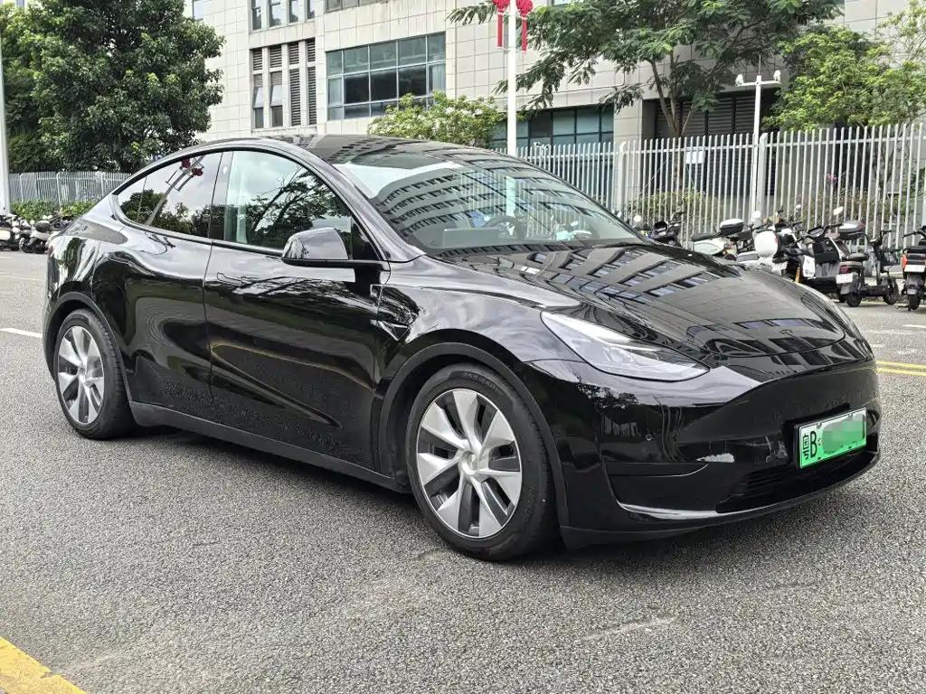Tesla Model Y — миниатюра 7