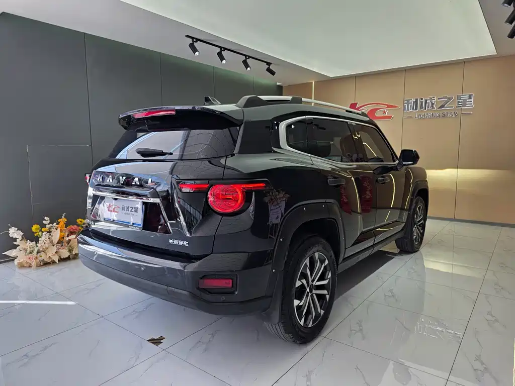 Haval Big Dog PLUS — миниатюра 4