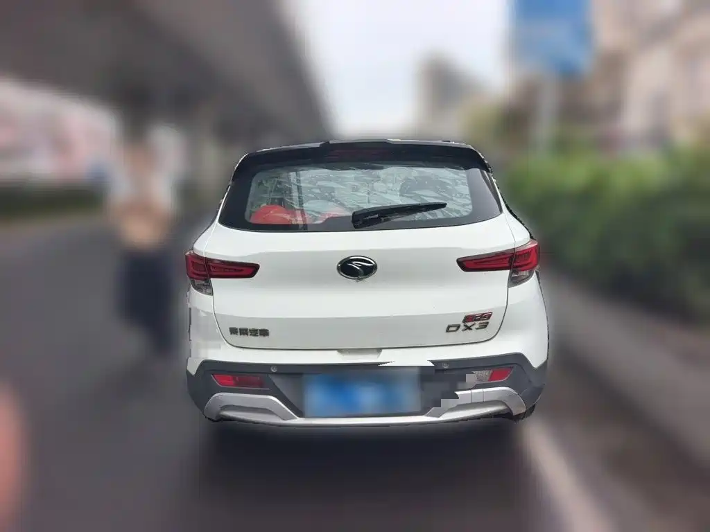 Soueast DX3 — миниатюра 4