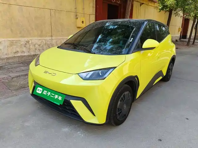 2024 BYD Seagull