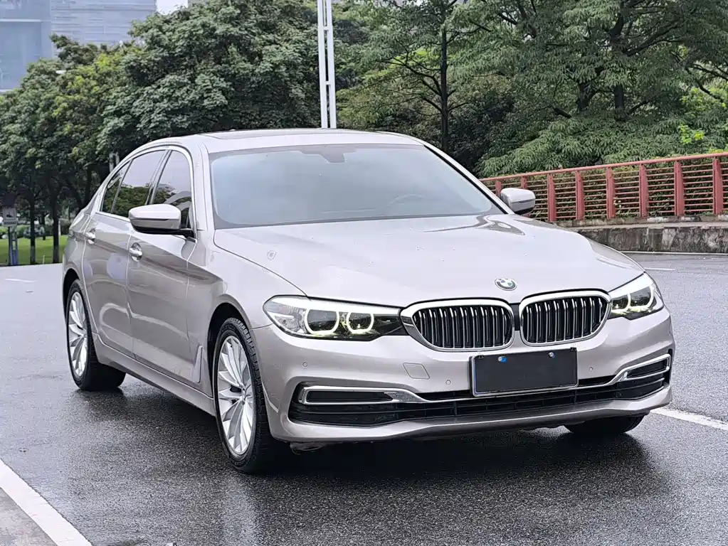 BMW 5 Series 5 2019 525Li Luxury