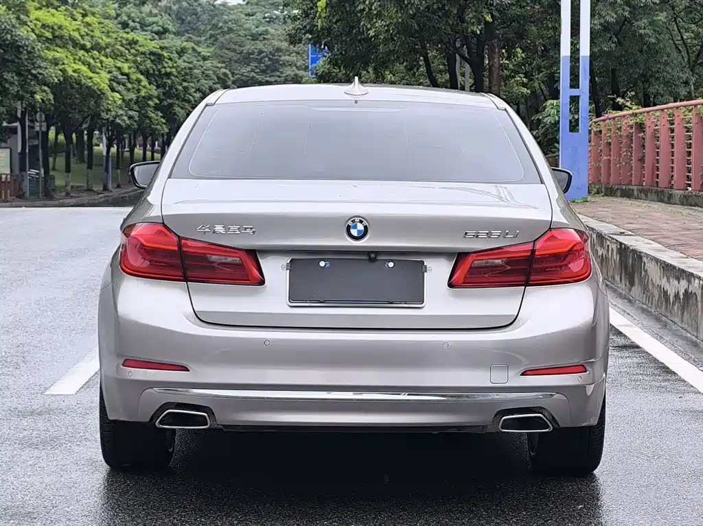 BMW 5 Series 5 2019 525Li Luxury