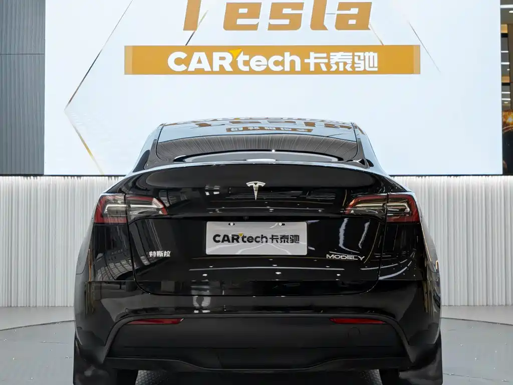 Tesla Model Y — миниатюра 4
