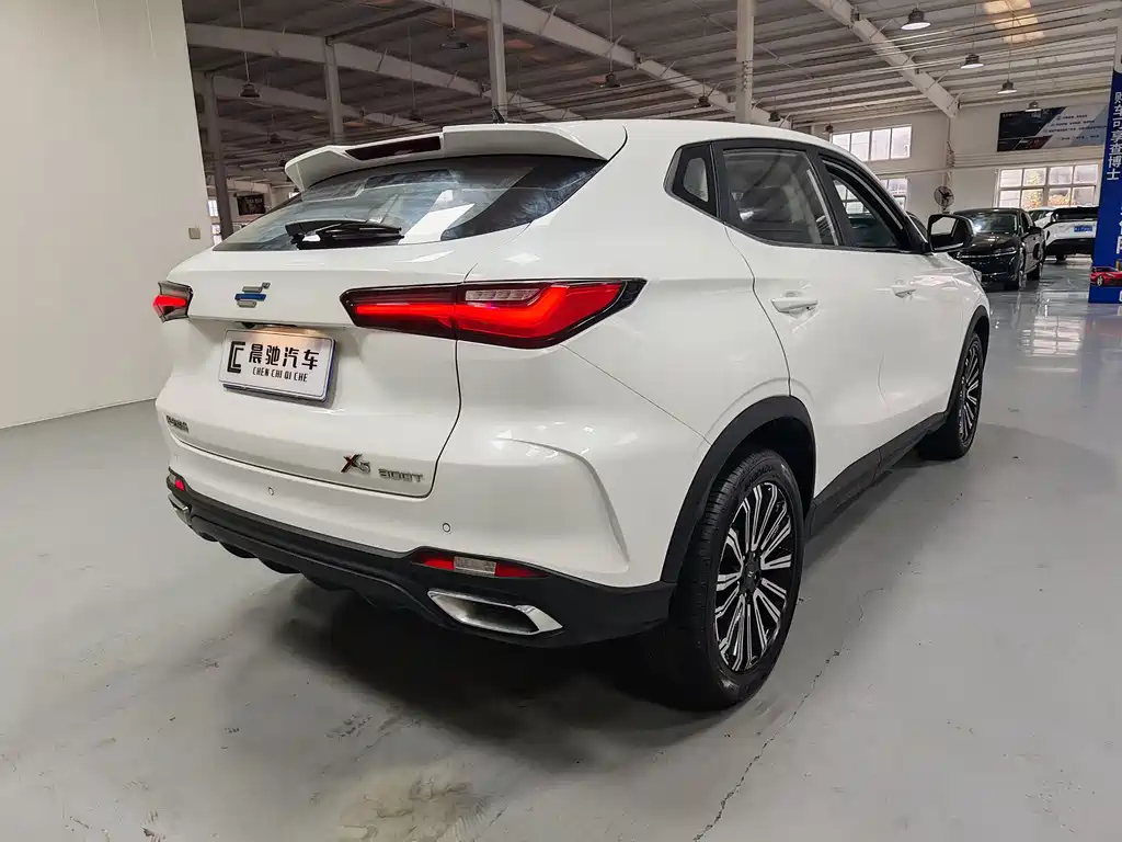 Oshan Oushang X5 — миниатюра 4