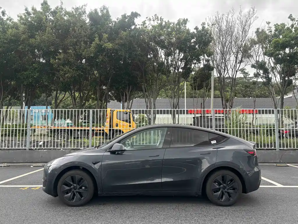 Tesla Model Y — миниатюра 6