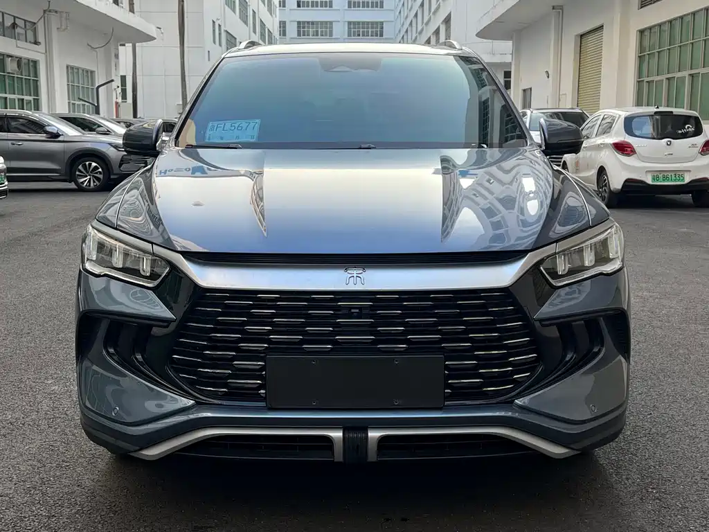 BYD Pro New Energy — миниатюра 2