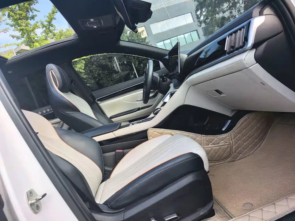 BYD PLUS New Energy — миниатюра 8