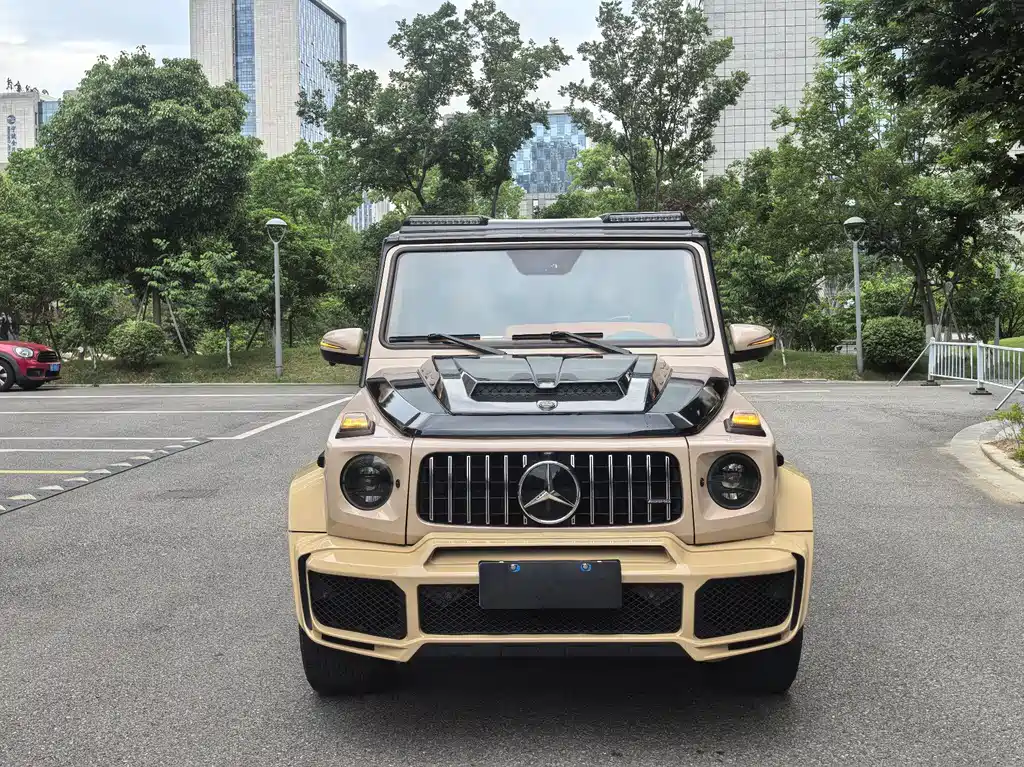 Mercedes-Benz G-Class G 2010 G 500