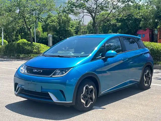 2022 BYD Dolphin