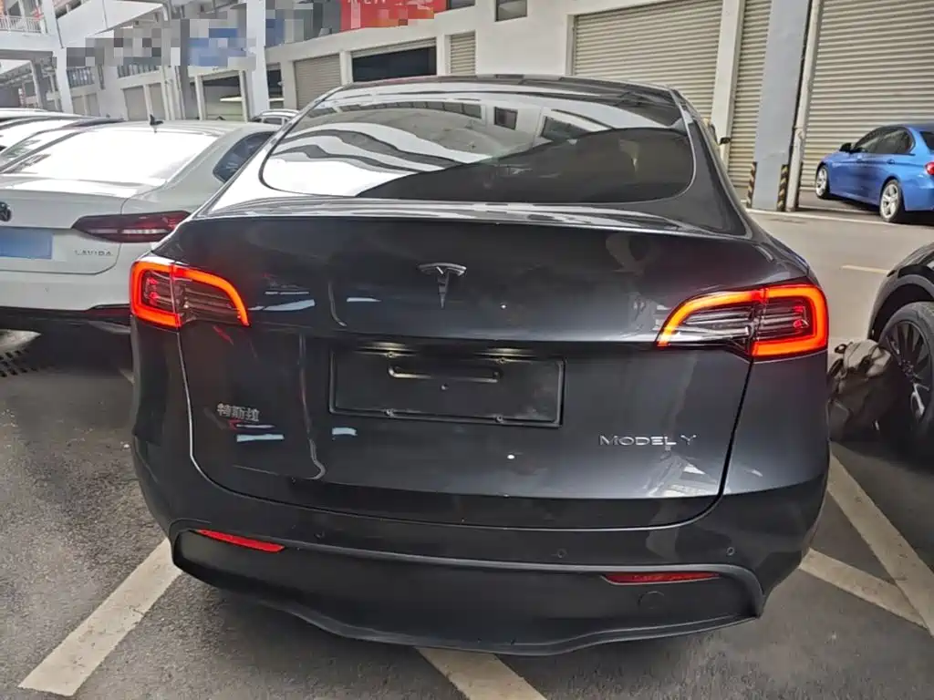 Tesla Model Y — миниатюра 6