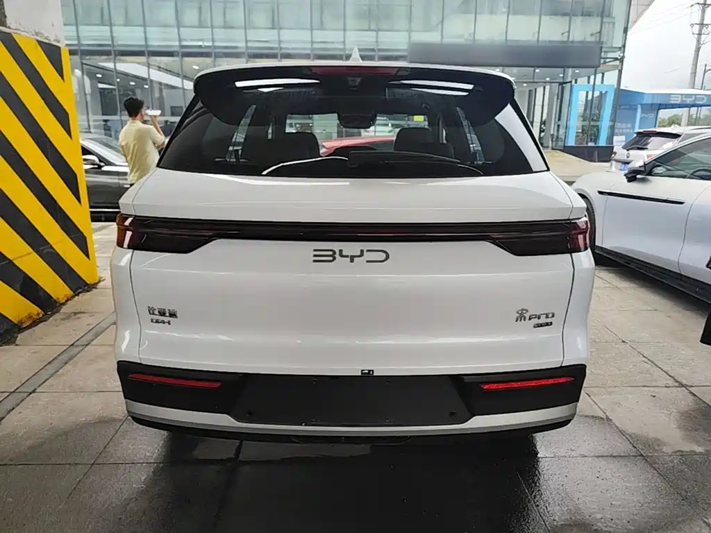 BYD Pro New Energy — миниатюра 6