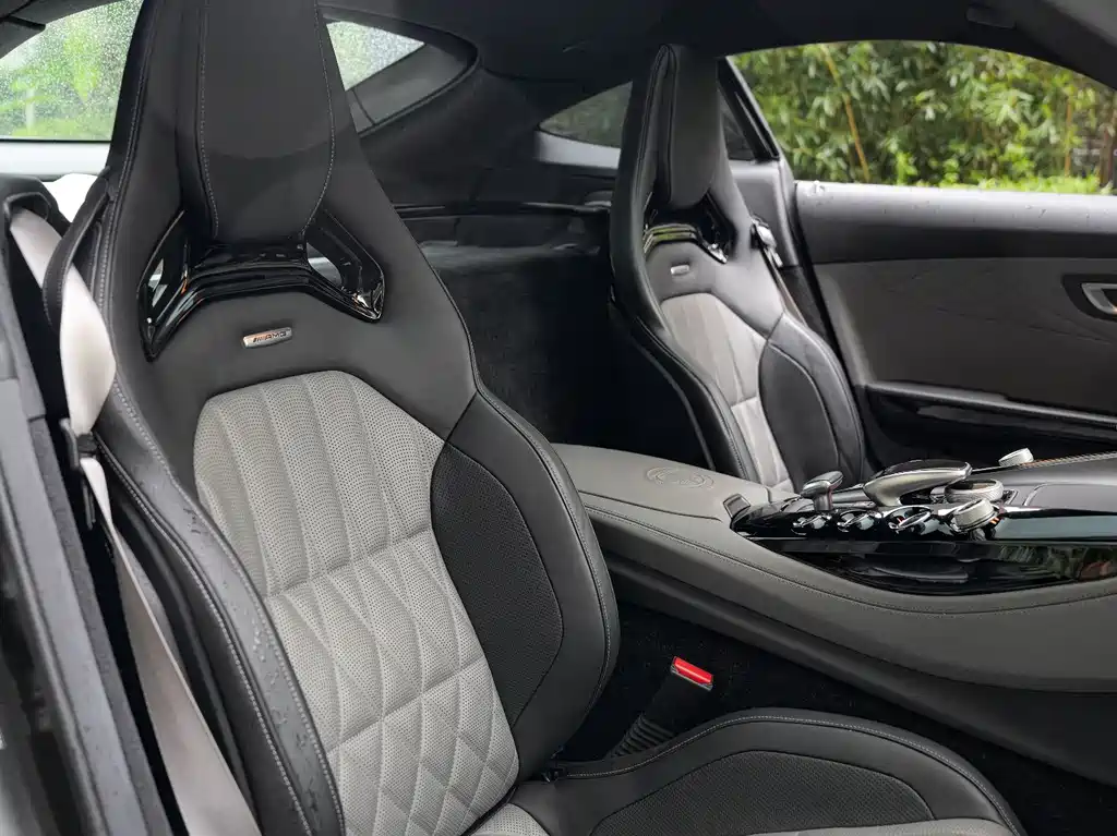 Mercedes-Benz AMG GT AMG GT C China Special Edition, фото 11