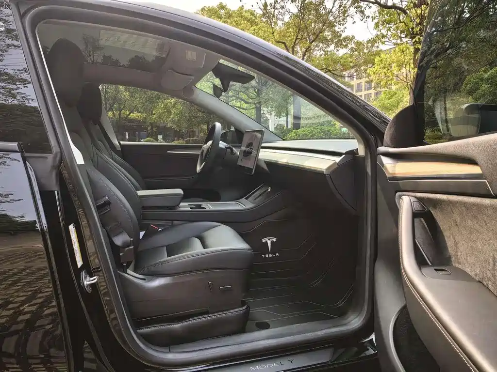 Tesla Model Y — миниатюра 13