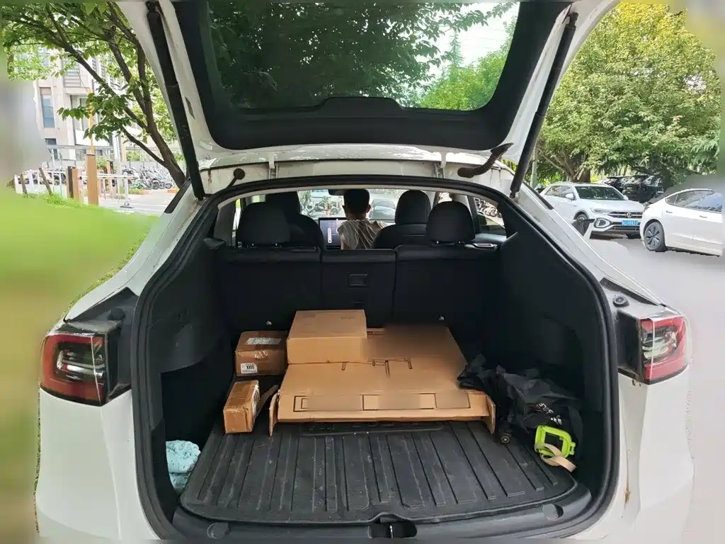 Tesla Model Y — миниатюра 20